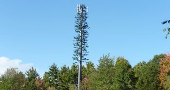 cell tower half assed tree