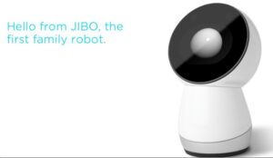 Jibo