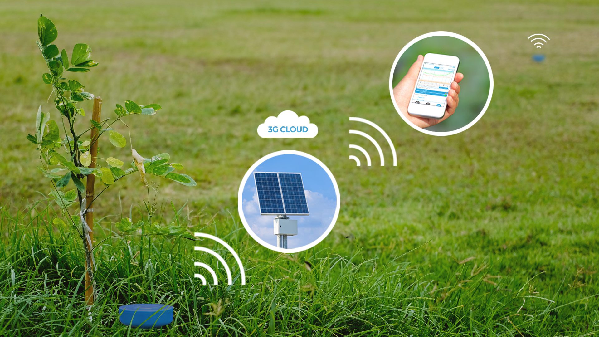 Sensoterra chooses Senet LPWA network for soil sensors - RCR Wireless News