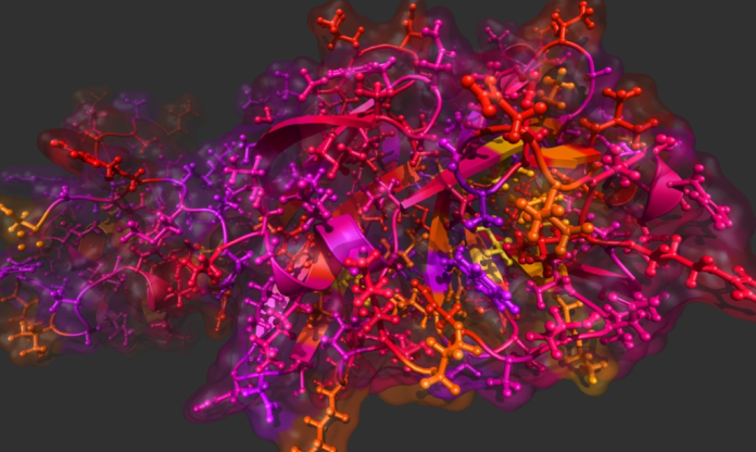 Coronavirus - a molecular illustration of a 2019 novel Coronavirus (Image: Wikimedia / Gianluca Tomasello)