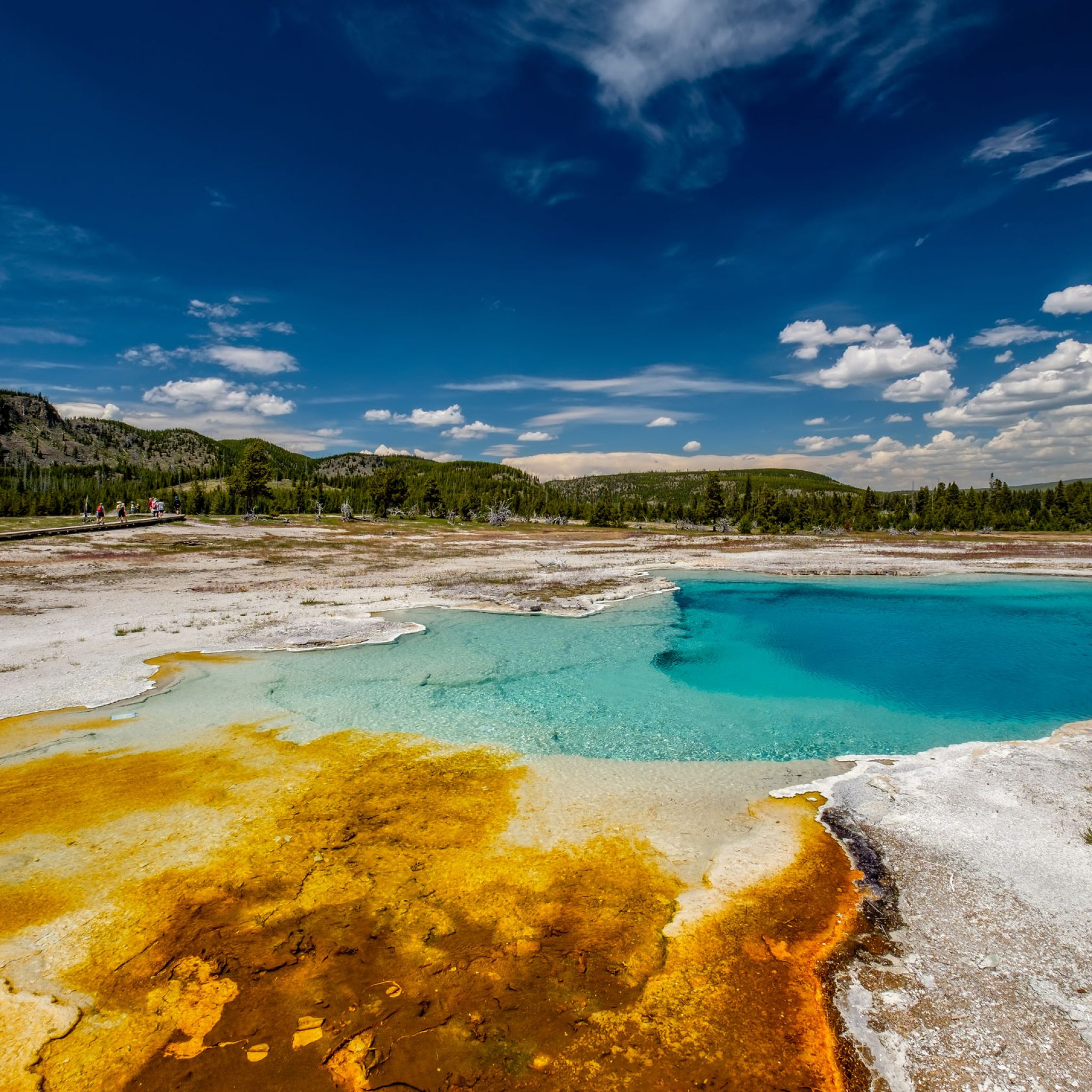 Yellowstone National Park is getting autonomous visitor shuttles