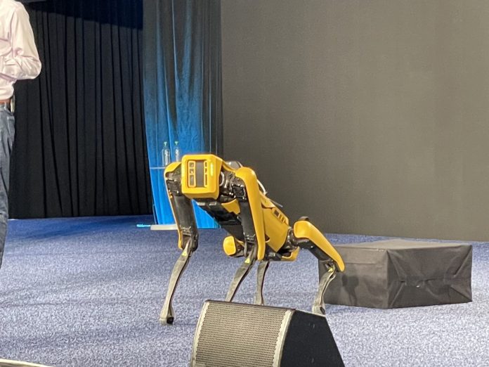 IMB spot robot boston dynamics