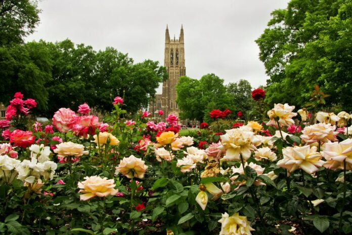 Duke university cbrs