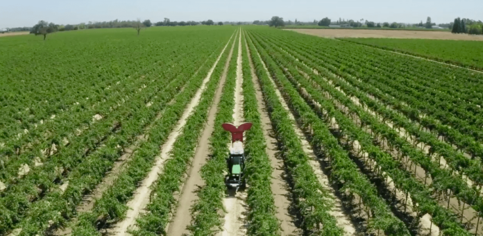 Blue White Robotics tractor in vineyard