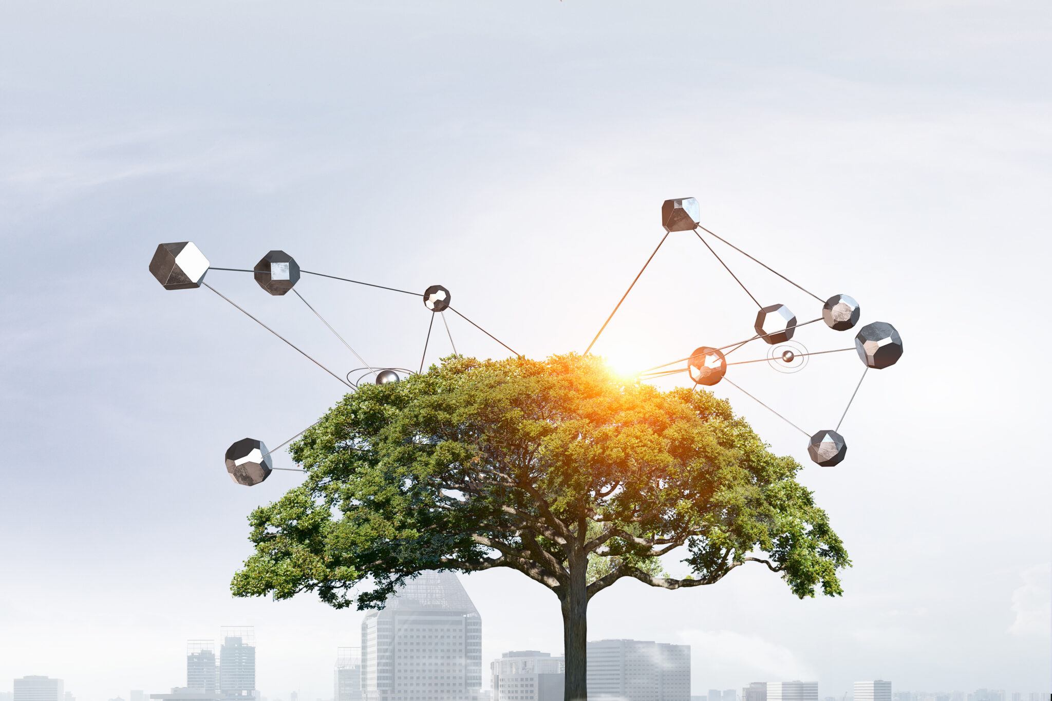 CSPs innovation multi-cloud ecosystem