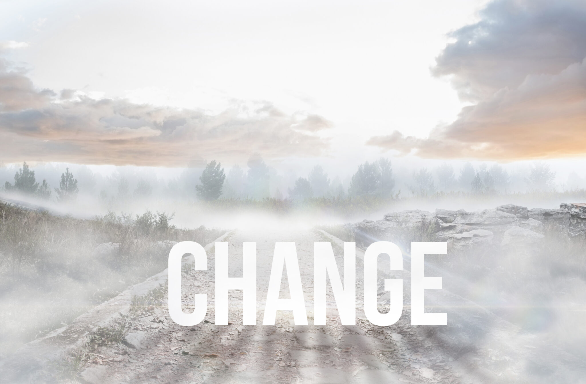 telcos changing lanscape