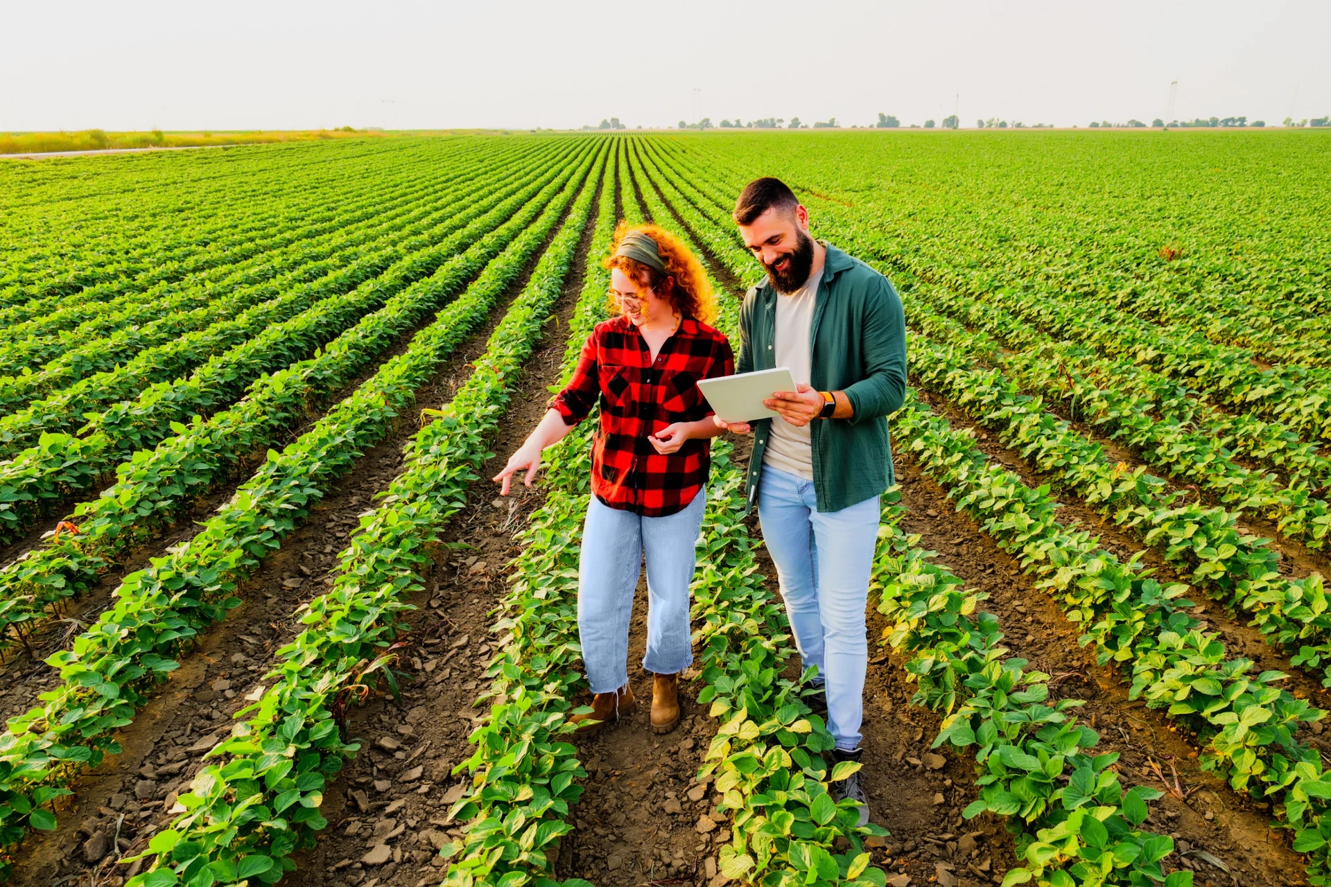 fiber agriculture